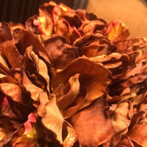 Meet your Posher, Sanjuanita